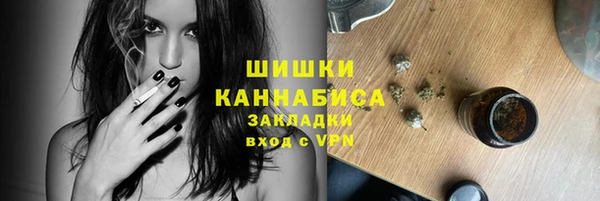 прущий лед Абаза