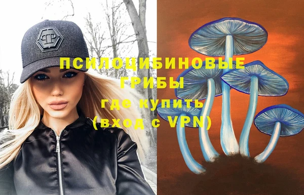 прущий лед Абаза