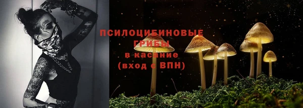 гашик Абинск