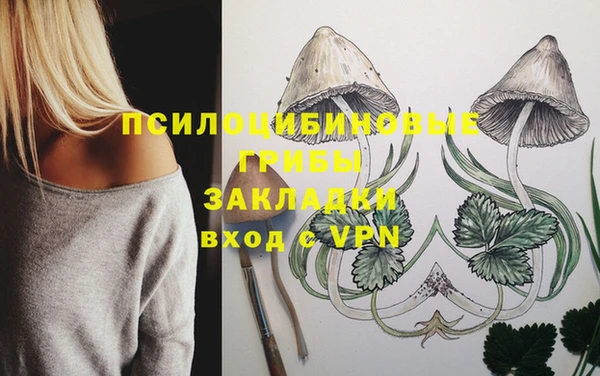 гашик Абинск