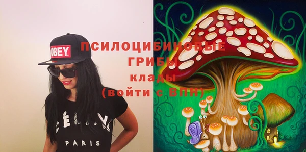гашик Абинск